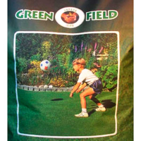 Трава газонная спортивная, 1кг  (Green Field) купить
