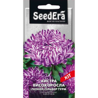 Астра високоросла Піонен Сільвер Турм 0,25 г купить