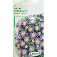 Астра низькоросла Гном Дарк 0,25 г купить