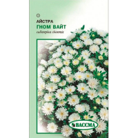 Астра низькоросла Гном Вайт 0.25г купить