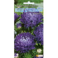 Астра карликова Міледі Дункельблау 0.3г купить