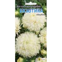 Астра пионообразная Экзотика 0.3г купить