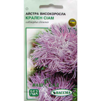 Астра високоросла Крален Сіам 0,25г купить