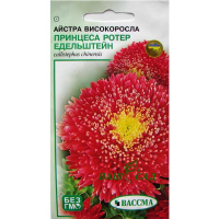 Астра високоросла Принцеса Ротер Едельштейн 0,25 купить