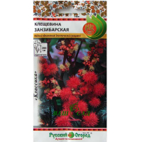 Кліщевина Занзабарська 5шт купить