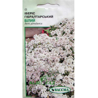 Иберис гибралтарский белый 0,2г купить