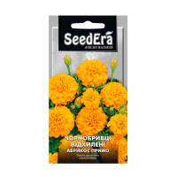 Чорнобривці відхилені Абрикос Прімо 0.5г купить