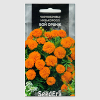 Чорнобривці низькорослі Бой Оранж Seedera, 0,5 г купить