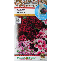 Гвоздика гібридна махрова Сніжана 90шт купить