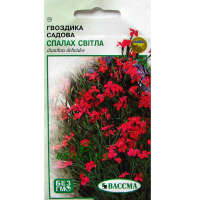 Гвоздика садова Спалах світла 0,2г купить