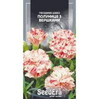 Гвоздика Шабо махрова полуниця зі сливками дворічна Seedera, 0,2 г купить