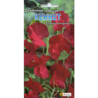 Горошок душовий Кеннет 0.1г купить