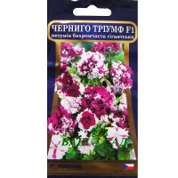 Петунія бахромчаста гігантська Черніго тріумф 10с купить