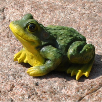 Садова фігура Жаба купить