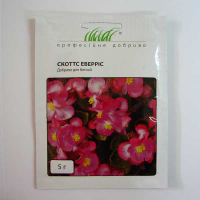 Добриво для бегонії 