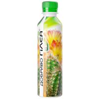 Ж/У Гілея-Т Сукулент 250мл купить