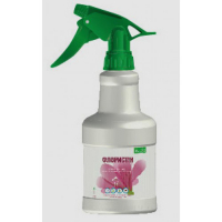 Інсектицид Флористин, спрей 500 мл купить