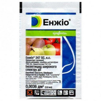 Енжio 3,6 мл купить