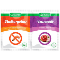 Антигусiнь к.с.(4мл)+Самшит к.с. (3мл) купить