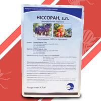 Нiссоран 5 г (орiгинал) купить