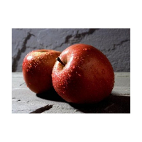 Яблуня Ред Фрі (саджанець) купить