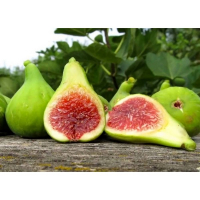 Інжир Вердіно купить