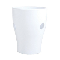 Орхідейниця глянець біла купить