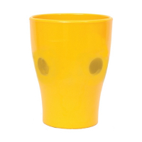 Орхідейниця глянець жовта купить