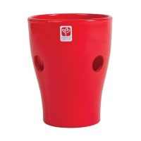 Орхідейниця глянець червона купить