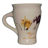 Орхідейка ірис купить