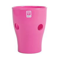 Орхідейниця глянець рожева купить