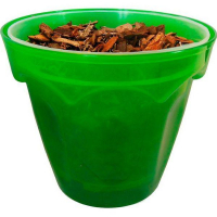 Комплект д/пересадки орхидей Колизей с субстратом купить