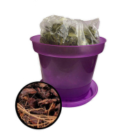 Ціна комплекта купить