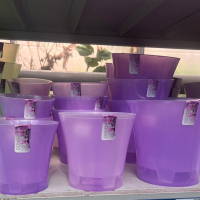 Орхидея 1,2л фиолет-прозор купить