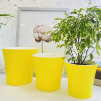 Донна 3,5л жовт-бiлий купить