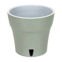 Дали блiдо-зелений мох 1,2л купить