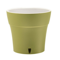 Дали оливково-сірий 2л купить