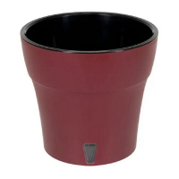 Дали бордовий-чорний 0,6л купить