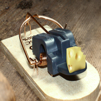 Мишоловка Swissinno Solutions «SuperCat» купить