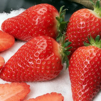 Земляника садовая Альба купить