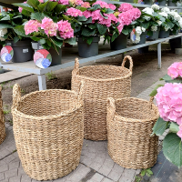 Кошик  круглый з  морських трав CON-4163 М купить