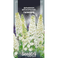 Дельфініум високорослий Галахард Seedera, 0,1 г купить
