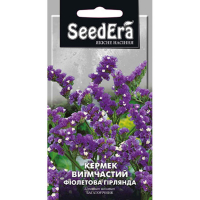 Кермек виїмчастий Фіолетова Гірлянда 0,2 г купить