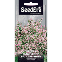 Кермек Татарський багаторічний 0,1 г купить