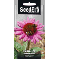Ехінацея Пурпурова 0,5г купить