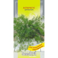 Аспарагус декоративний Шпренгера Seedera, 0,1 г купить
