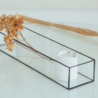 Флорарiум б/н,геометрія, 500*70*70 купить