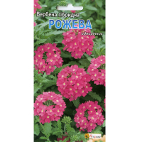 Вербена гібридна Рожева 0.1г купить