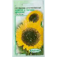 Соняшник декоративний оранжевий 0.7г купить