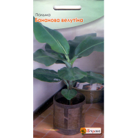 Пальма Бананова Велутина 5шт купить